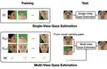 Rotation-Constrained Cross-View Feature Fusion for Multi-View Appearance-based Gaze Estimation