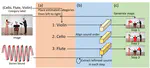 Audio-visual localization based on spatial relative sound order
