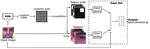 Learning-based Region Selection for End-to-End Gaze Estimation