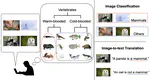 Image-to-Text Translation for Interactive Image Recognition: A Comparative User Study with Non-Expert Users