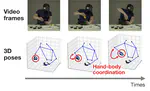 AssemblyHands-X: Modeling 3D Hand-Body Coordination for Understanding Bimanual Human Activities