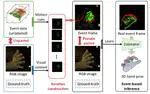 Leveraging RGB Images for Pre-Training of Event-Based Hand Pose Estimation